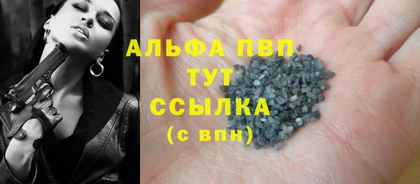 прущие грибы Новодвинск