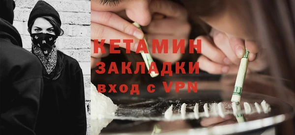 прущие грибы Новозыбков