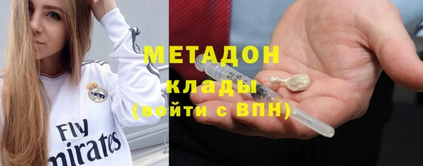 прущие грибы Новодвинск