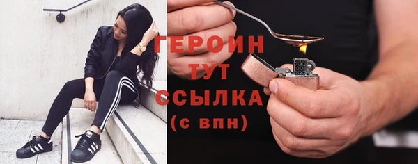 прущие грибы Новодвинск