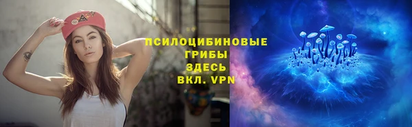 прущие грибы Новодвинск