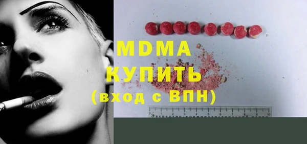 прущие грибы Новозыбков