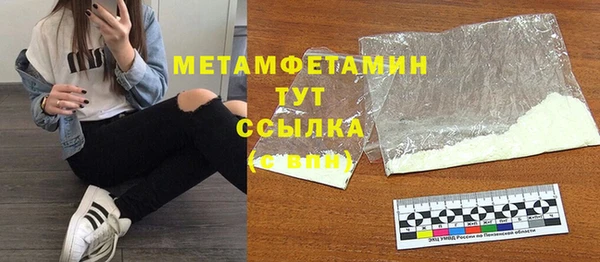 прущие грибы Новодвинск
