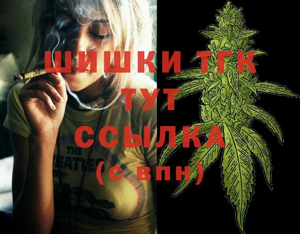 прущие грибы Новодвинск