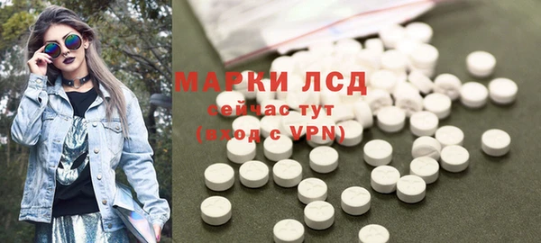 прущие грибы Новозыбков