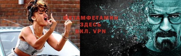 прущие грибы Новозыбков