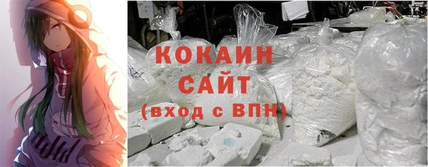 прущие грибы Новодвинск