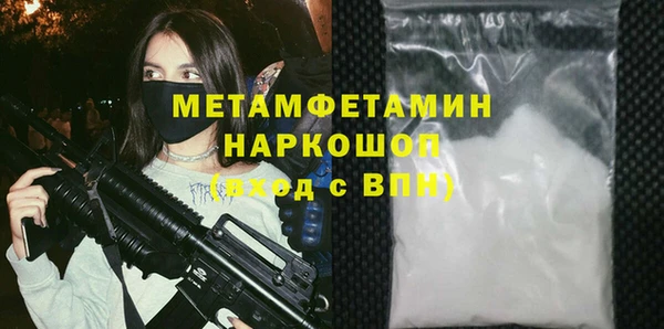 прущие грибы Новодвинск
