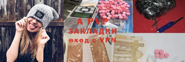 прущие грибы Новозыбков