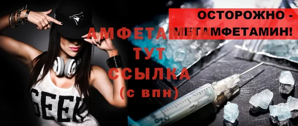прущие грибы Новодвинск