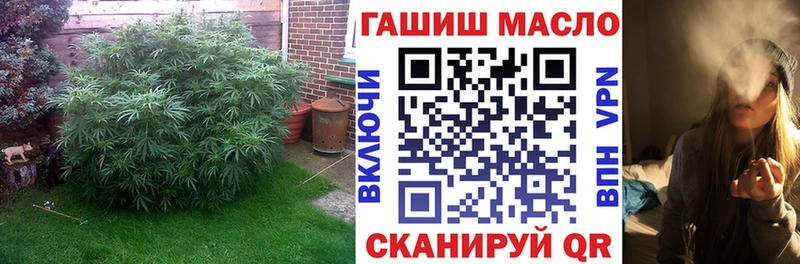 ТГК гашишное масло  маркетплейс состав  Покров  даркнет сайт 
